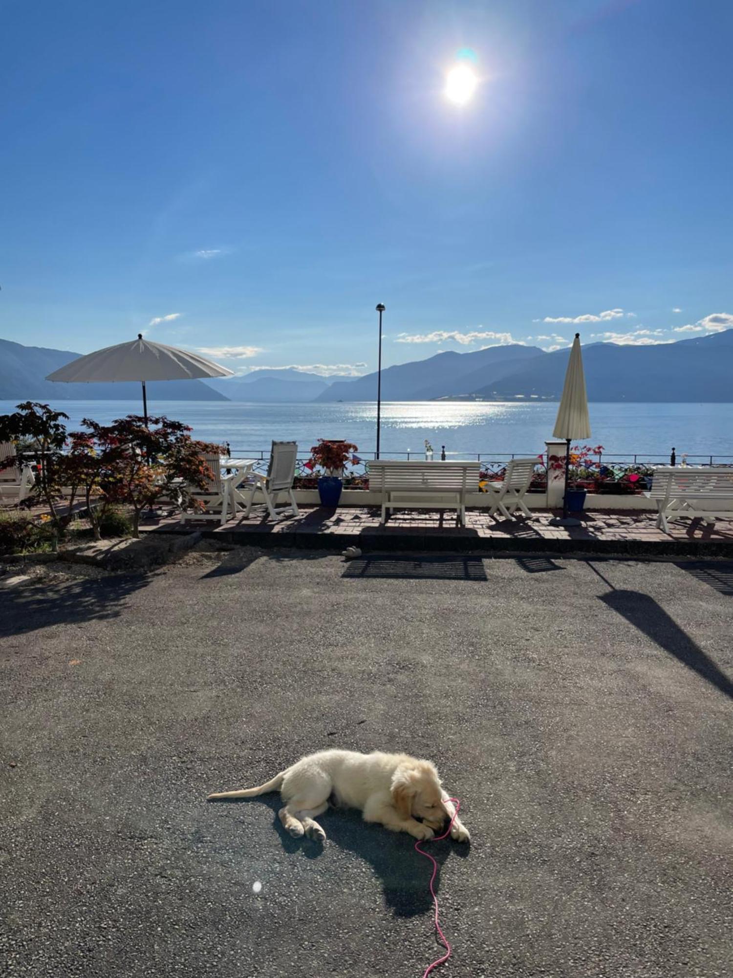 Balestrand Hotel Esterno foto
